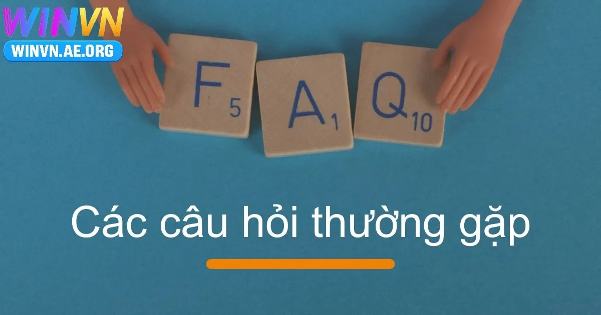 Câu Hỏi Thường Gặp Winvn Là Gì?