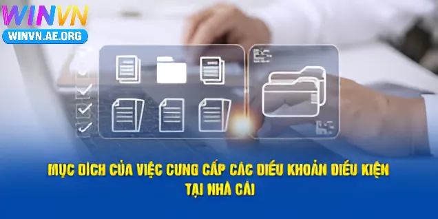 Điều Khoản Sử Dụng Winvn